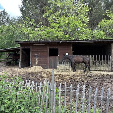 Propriete Entre Foret Et Ocean Villa Ares Exterior photo