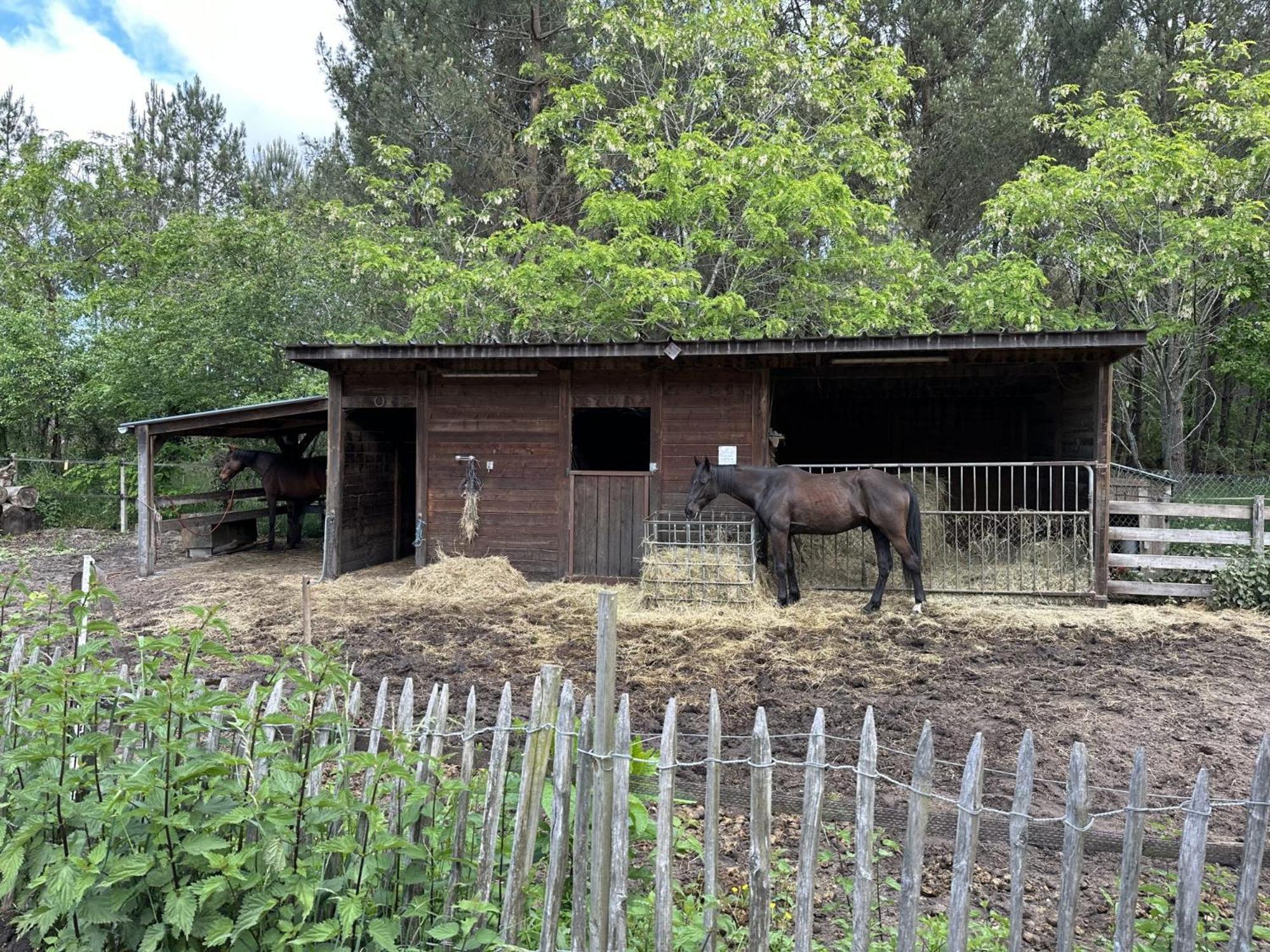 Propriete Entre Foret Et Ocean Villa Ares Exterior photo